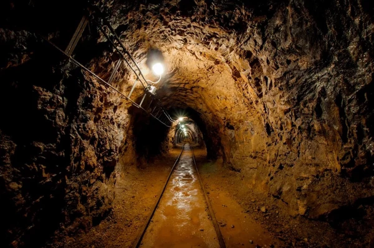 Фото: pixabay.com