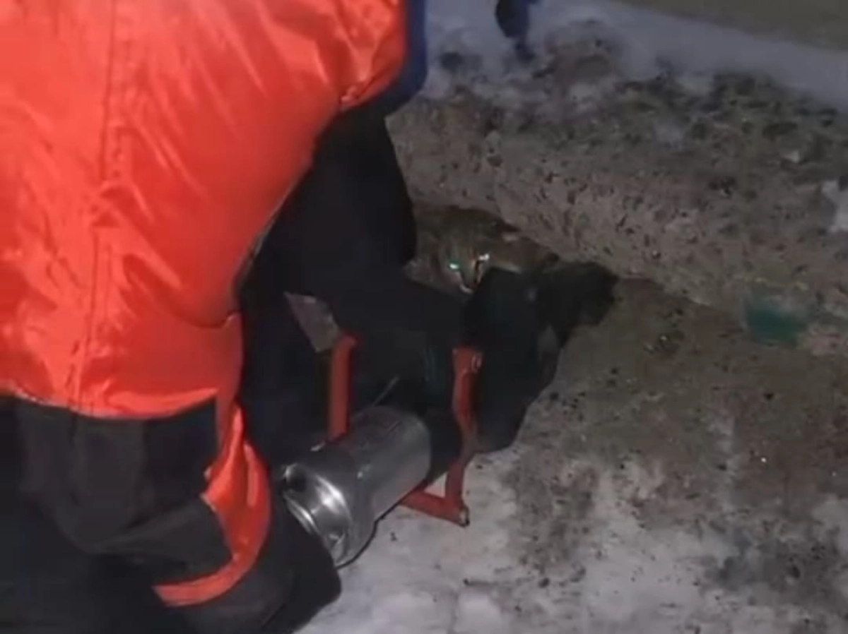 Кадр из видео