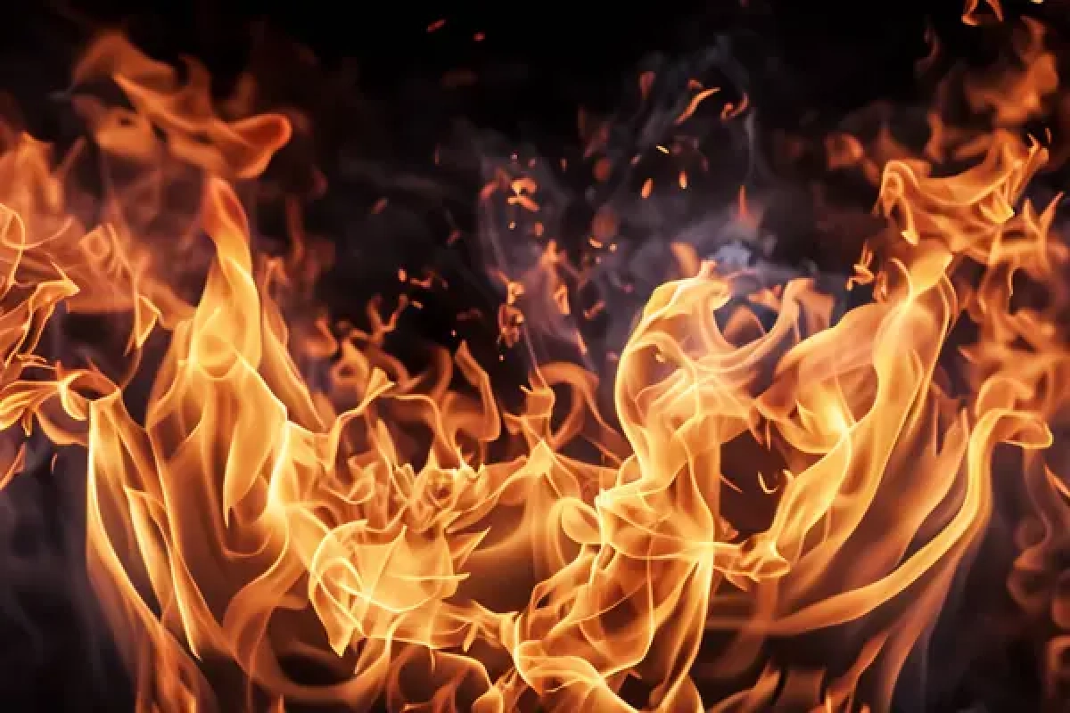 Фото: depositphotos