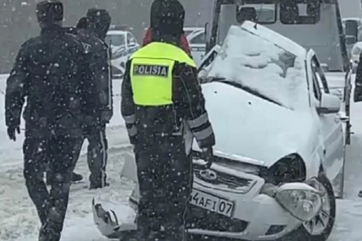 Фото: «Мой Город»