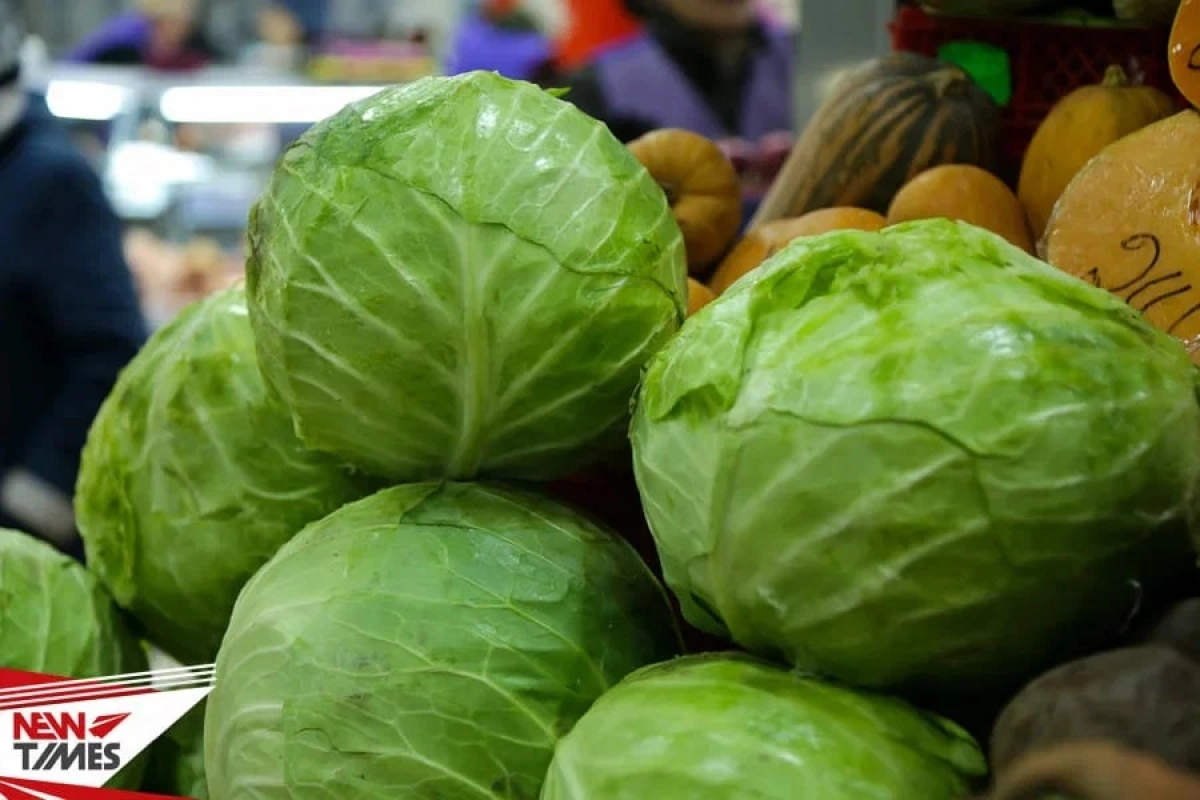 Фото: ИА «NewTimes.kz»