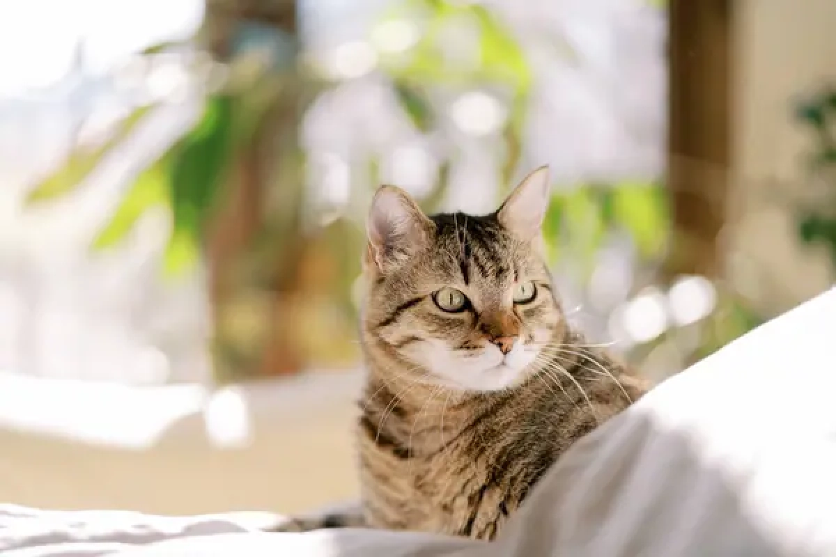 Фото: depositphotos