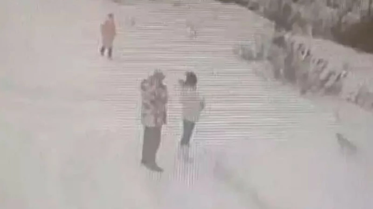 Кадр из видео