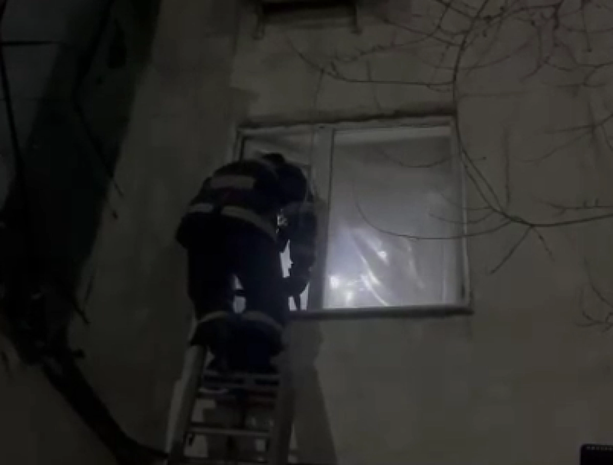 Кадр из видео