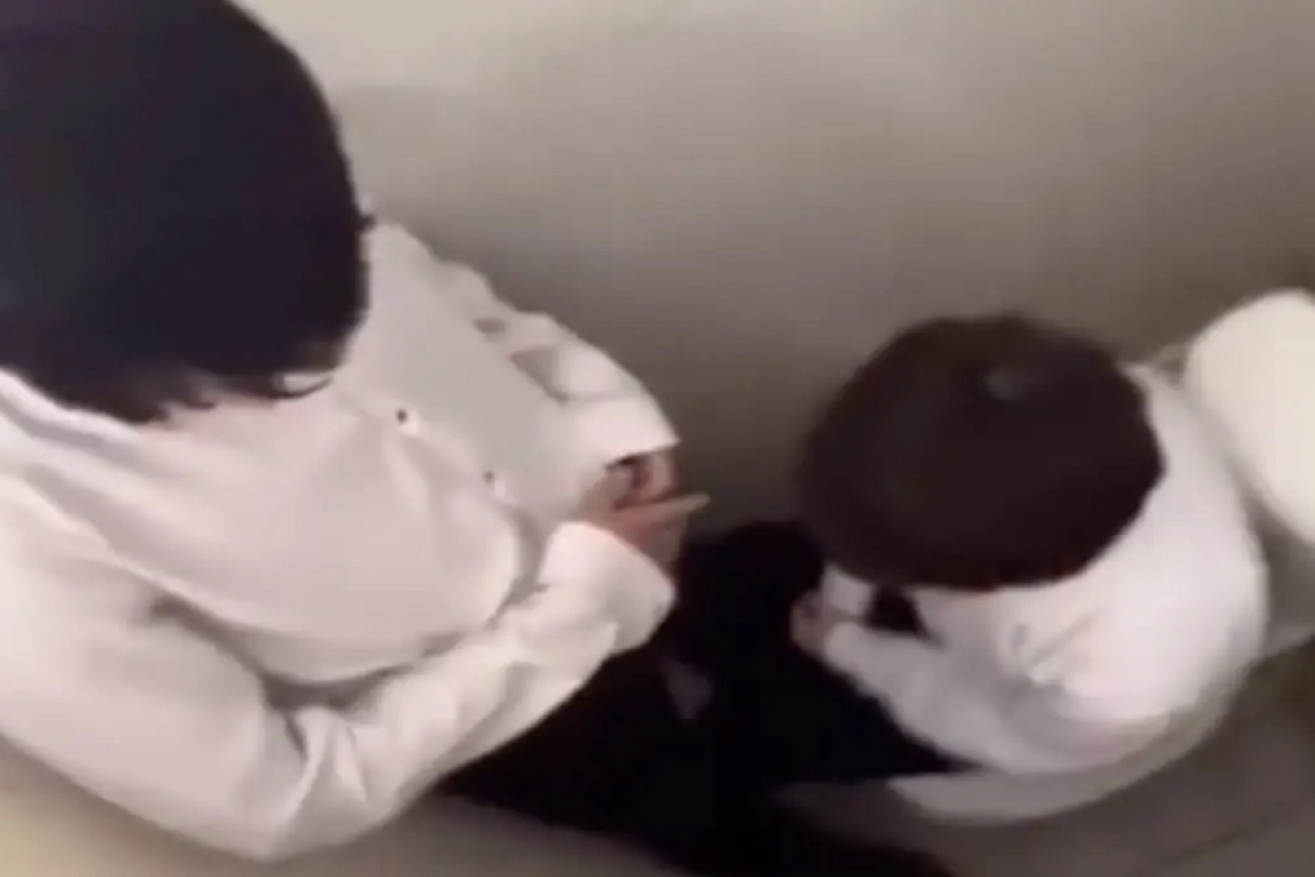 Фото: скриншот видео