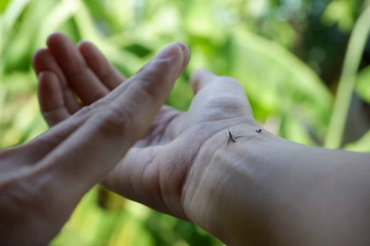 Фото: depositphotos