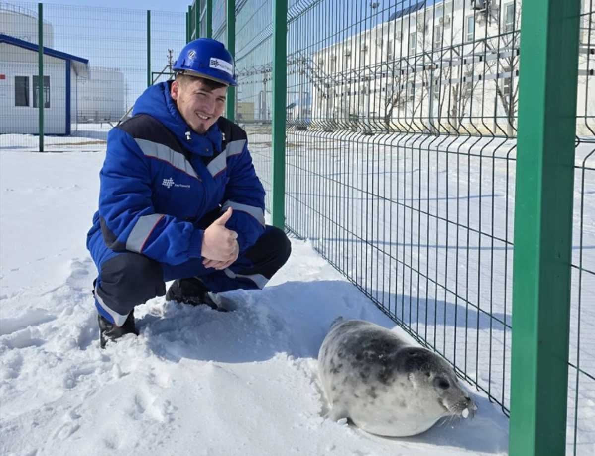 Фото: T.me/kmgpress