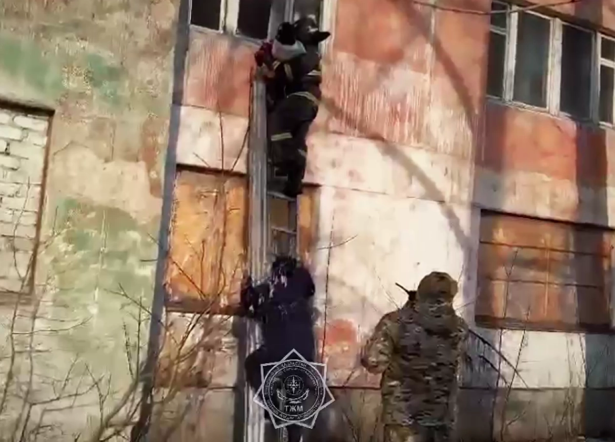 Кадр из видео