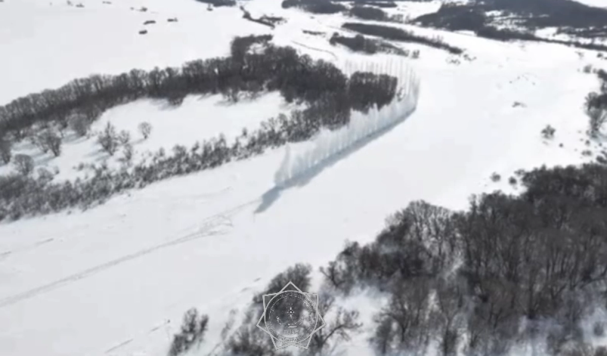 Фото: скриншот/видео