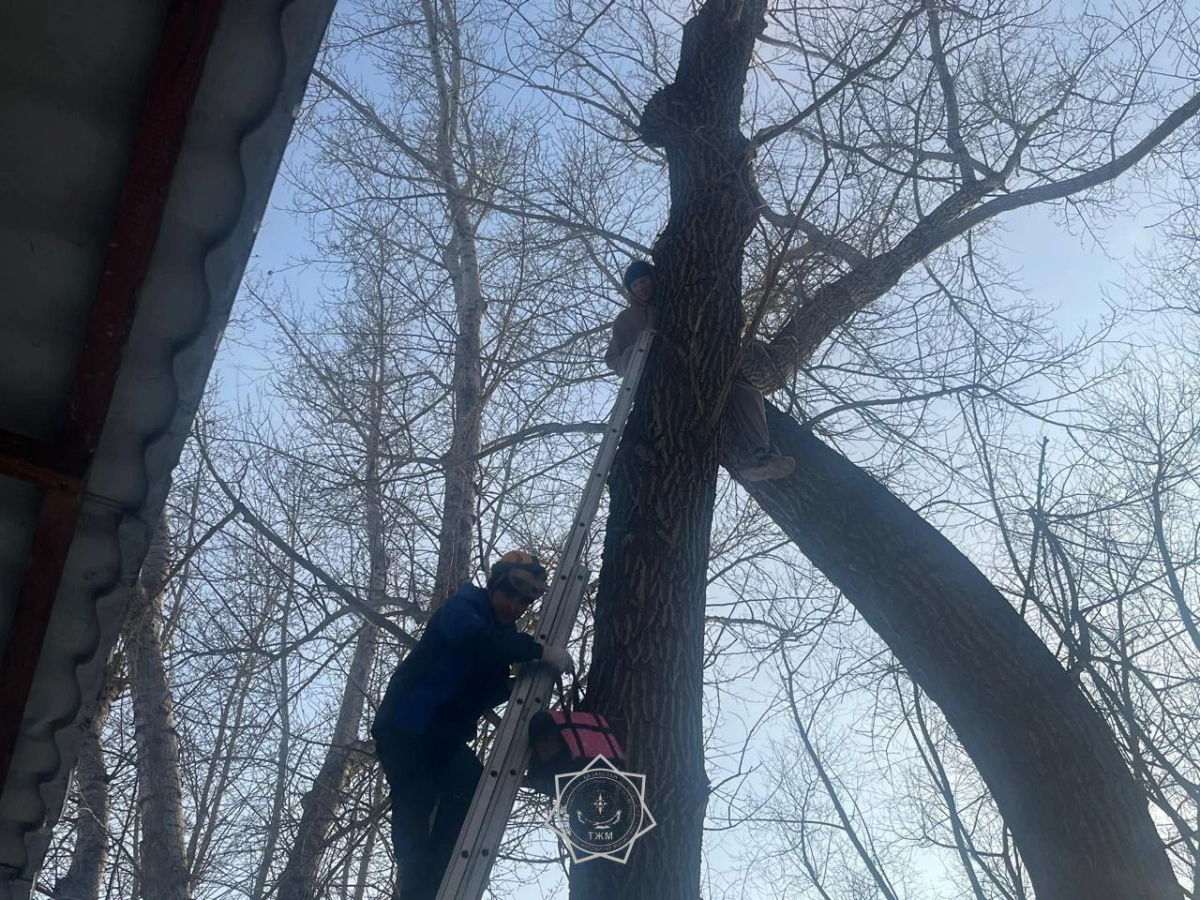 Фото: МЧС РК