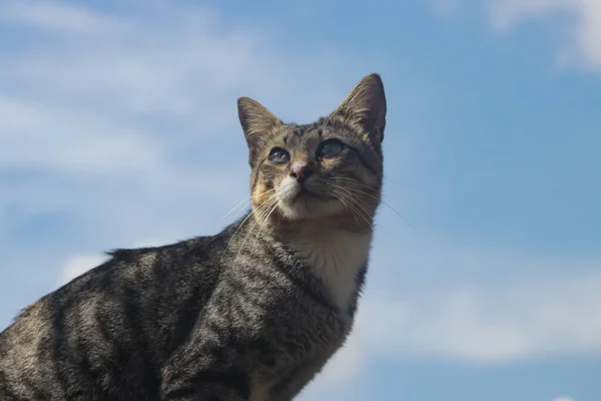 Фото: depositphotos