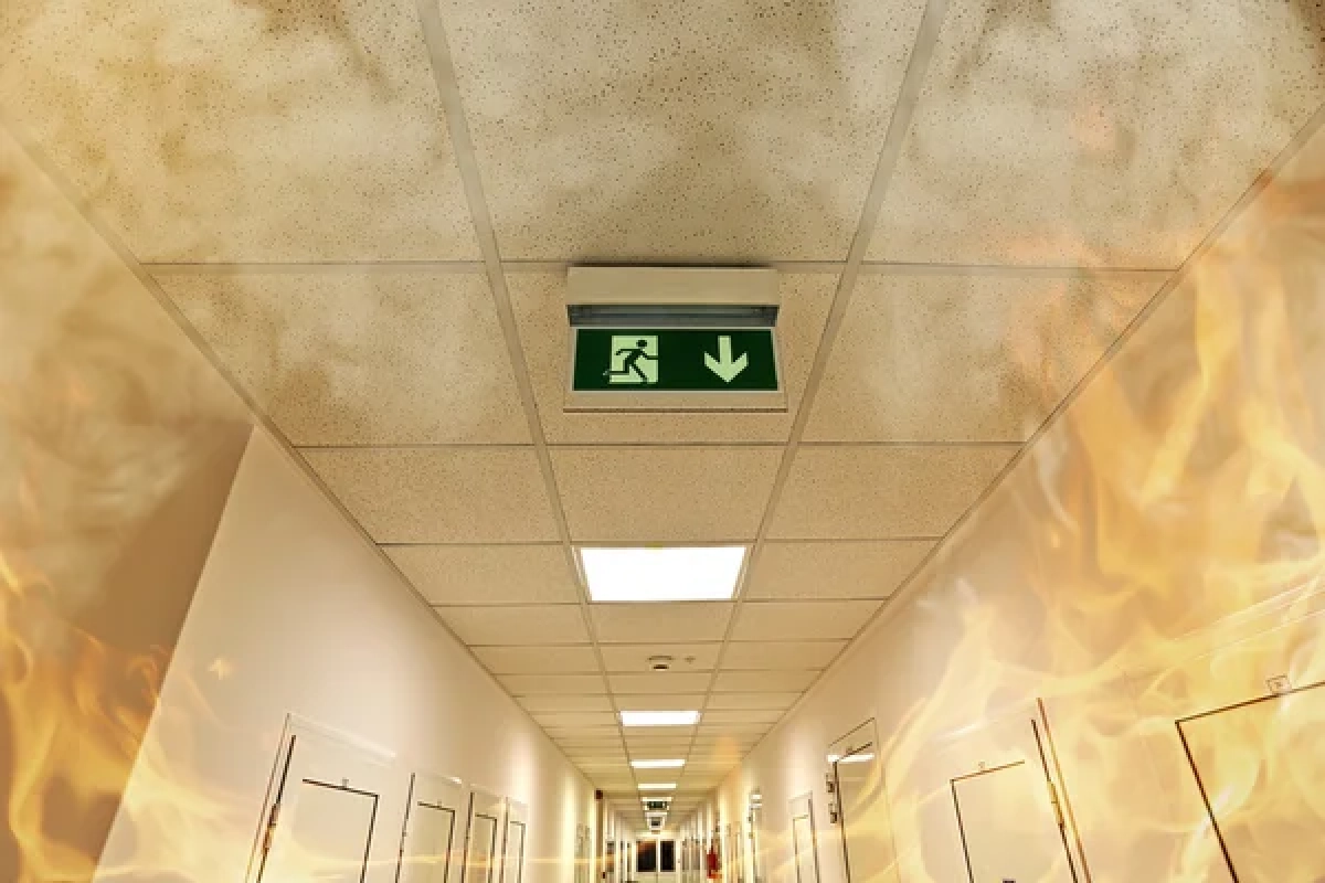 Фото: depositphotos