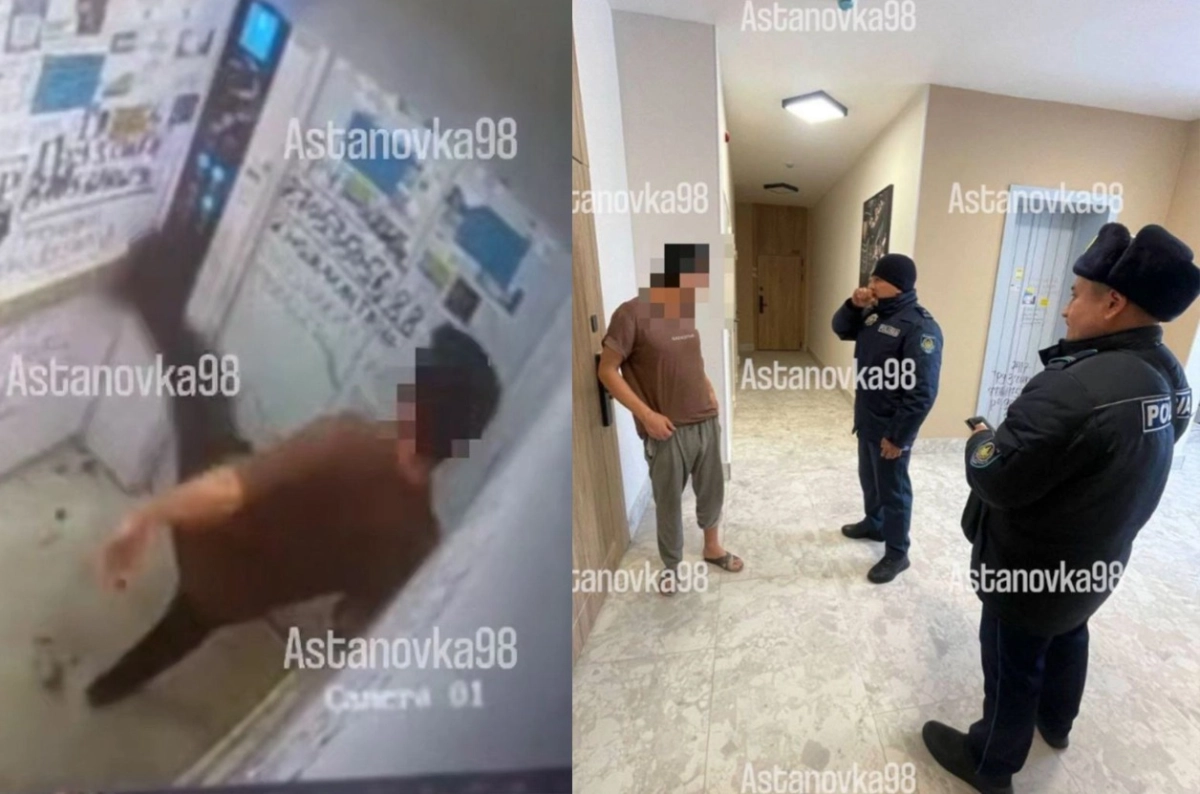 Фото: скрин из видео