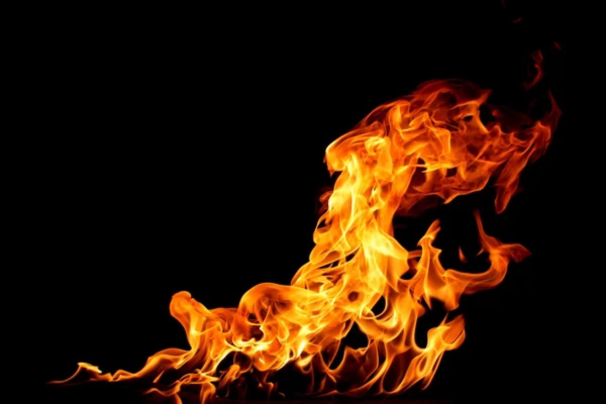 Фото: depositphotos