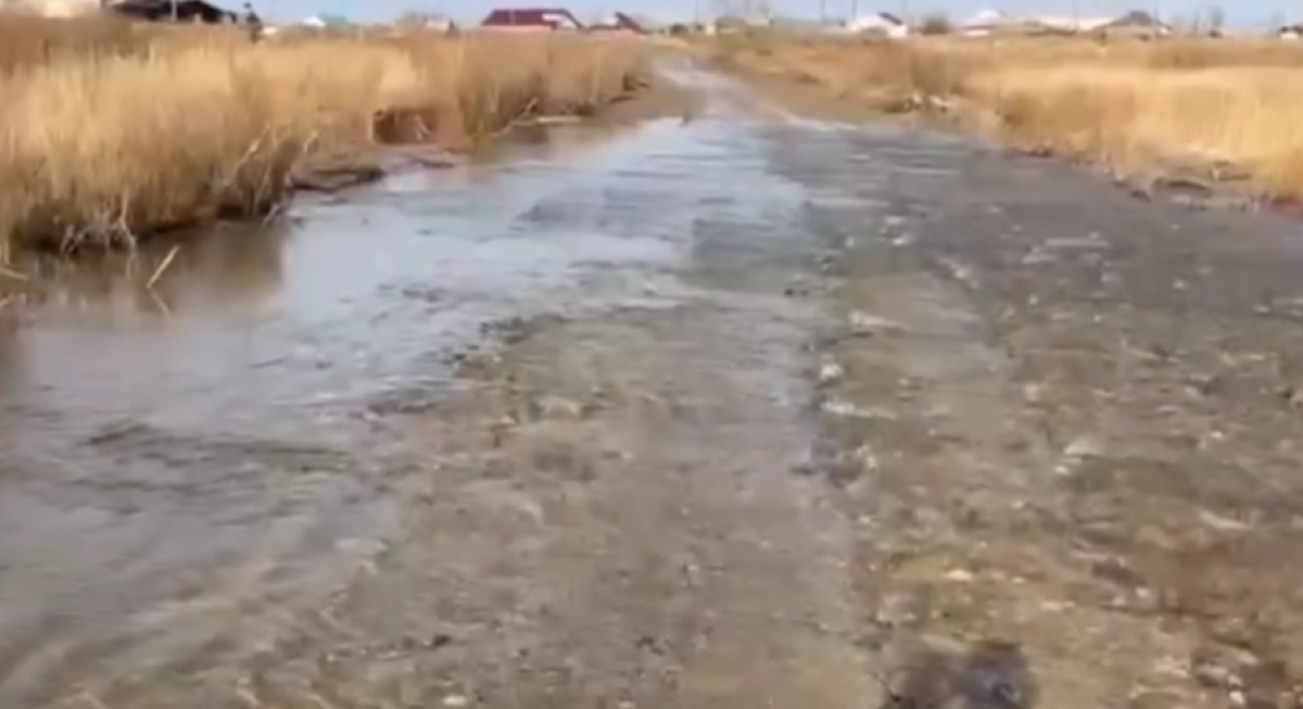 Фото: кадр из видео