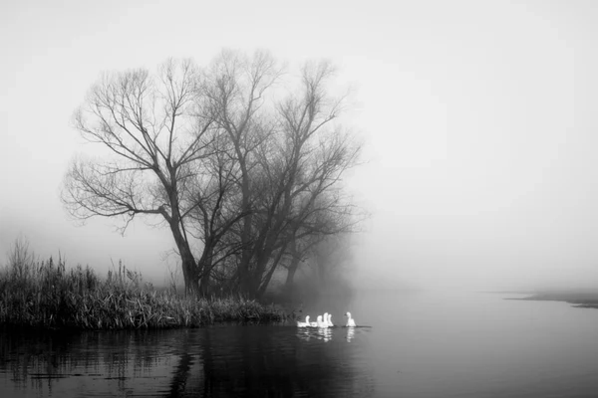 Фото: depositphotos