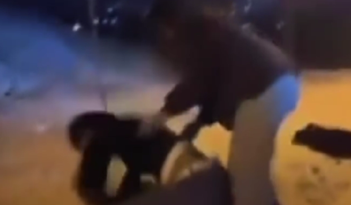 Фото: кадр из видео