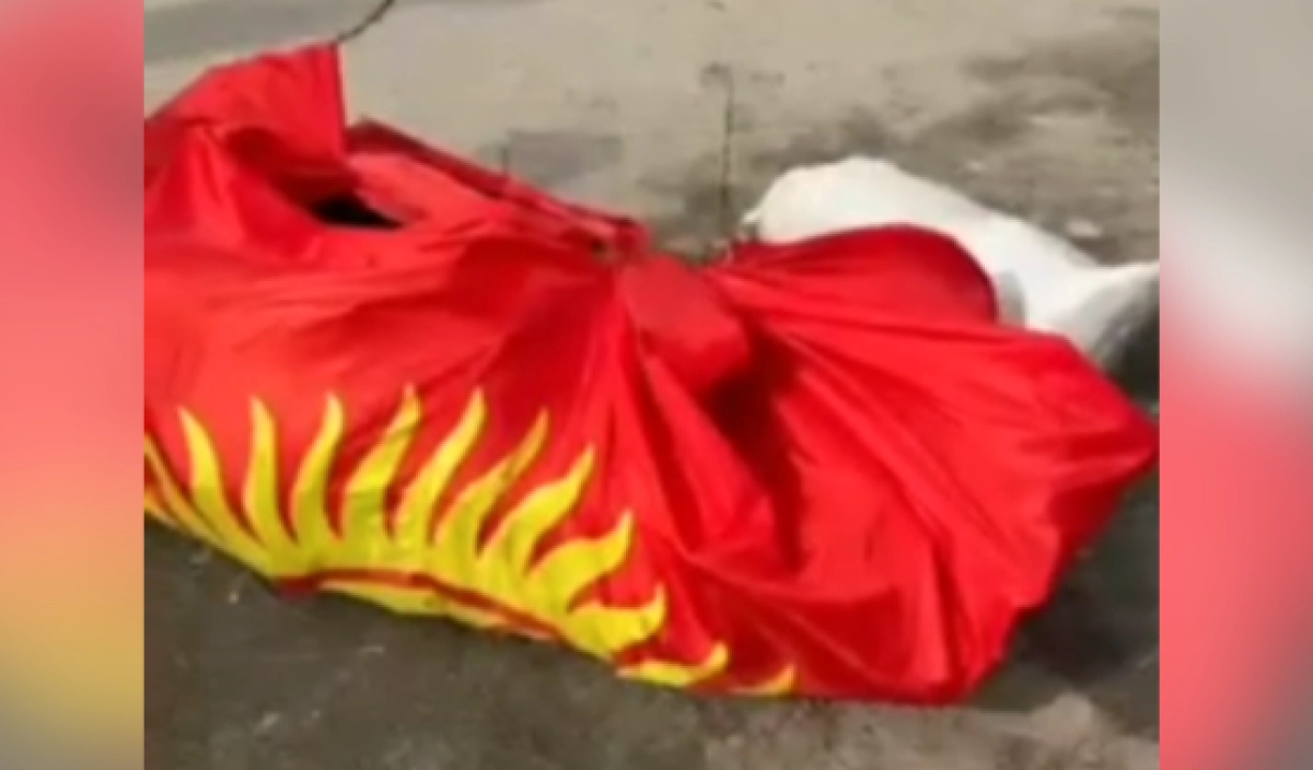 Фото: кадр из видео