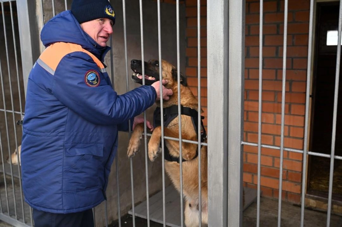 Фото: пресс-служба ДЧС СКО