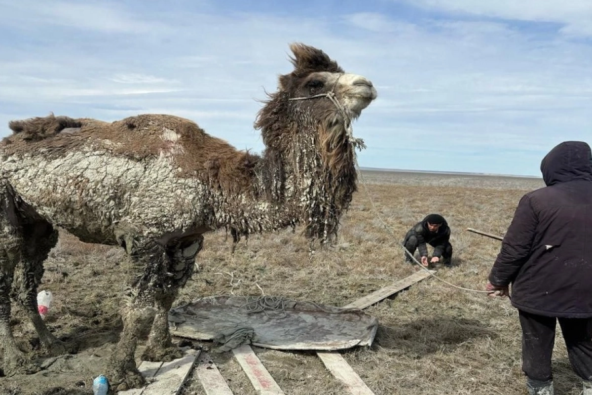 Фото: МЧС РК