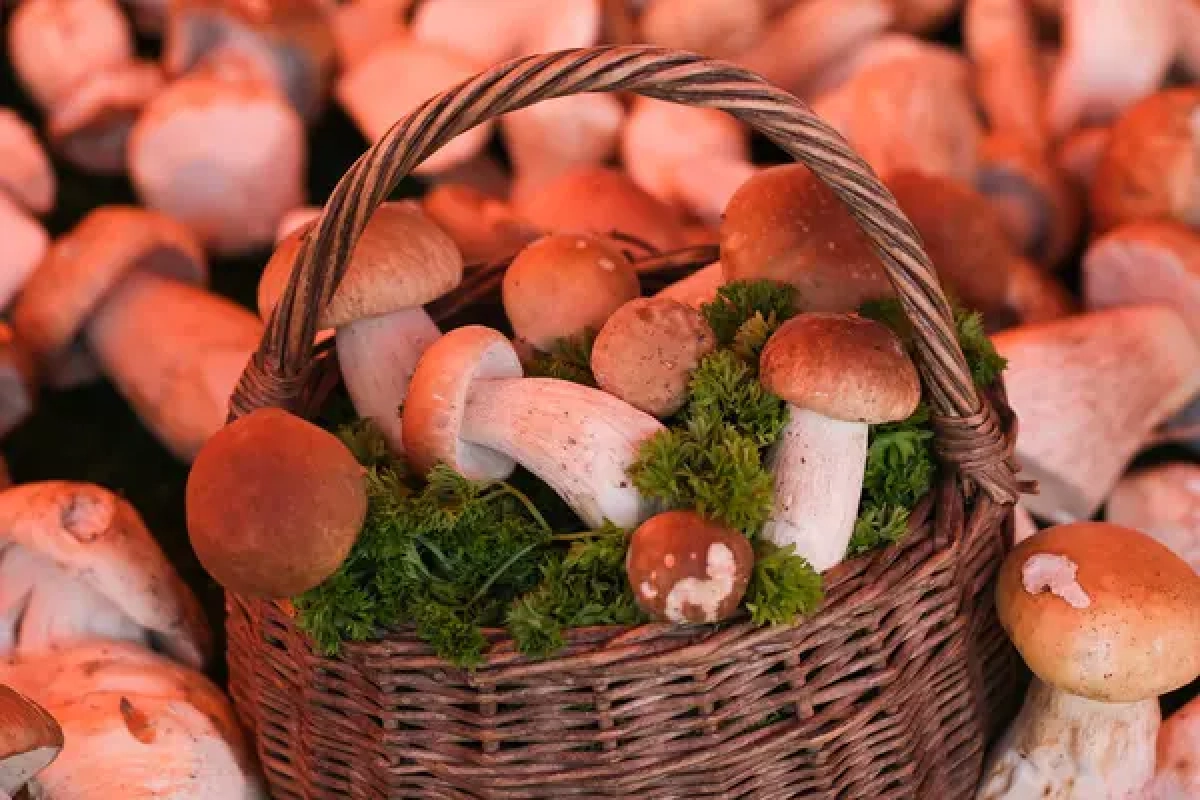 Фото: depositphotos