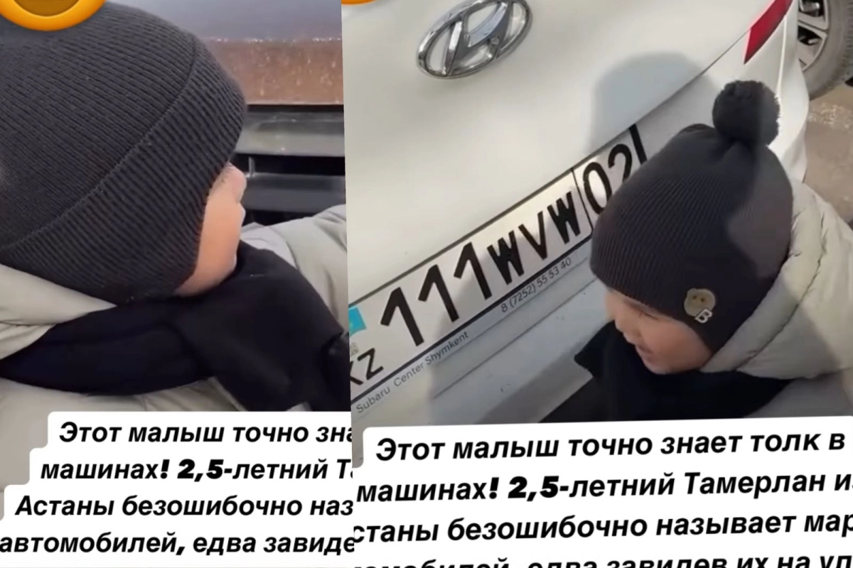 Фото: скрин из видео