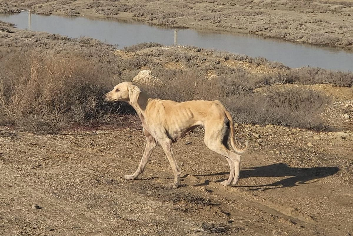 Фото предоставил порталу lada.kz житель Актау