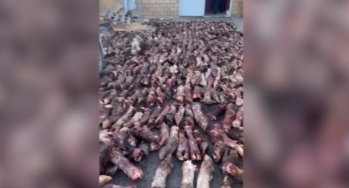 Фото: кадр из видео