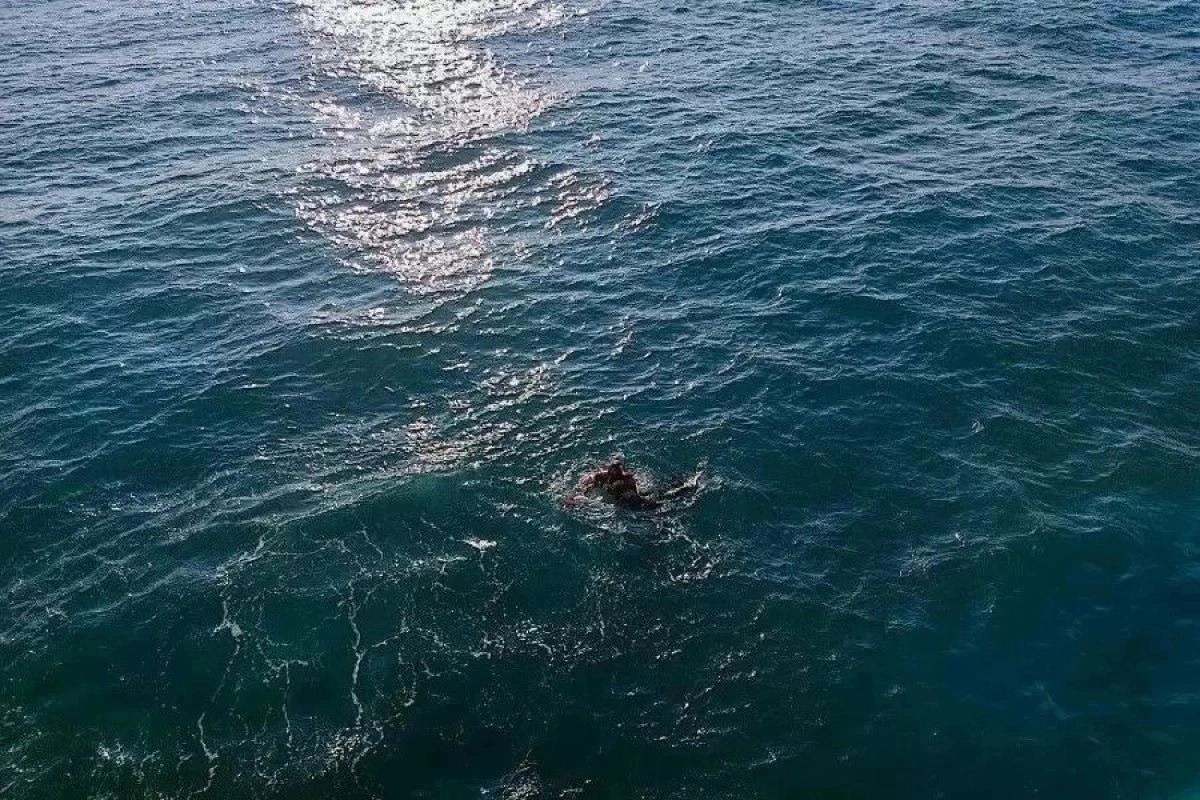 Фото: пресс-служба МЧС РК