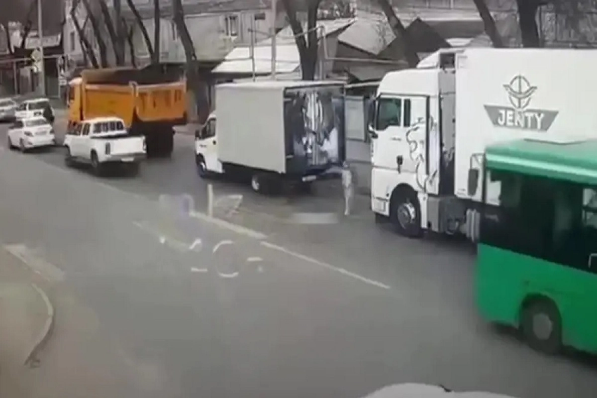 Фото: скриншот видео