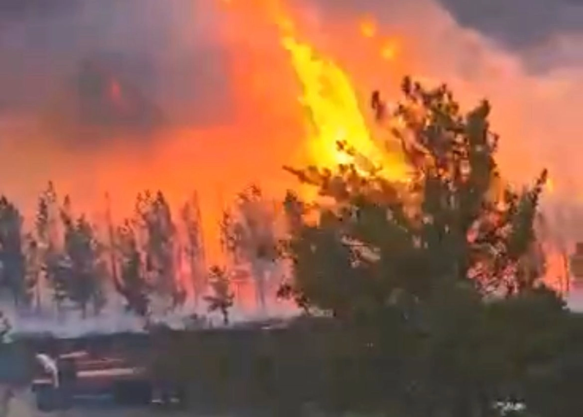 Фото: скриншот видео