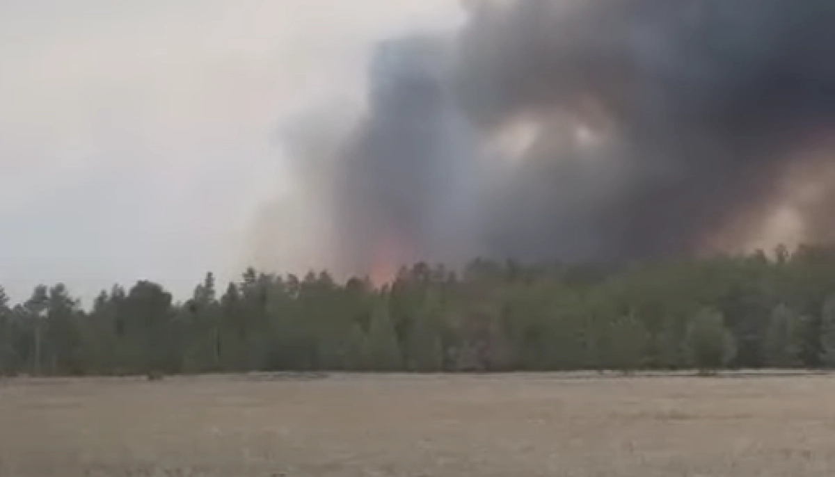 Фото : скриншот