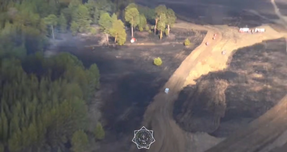 Фото: кадр из видео