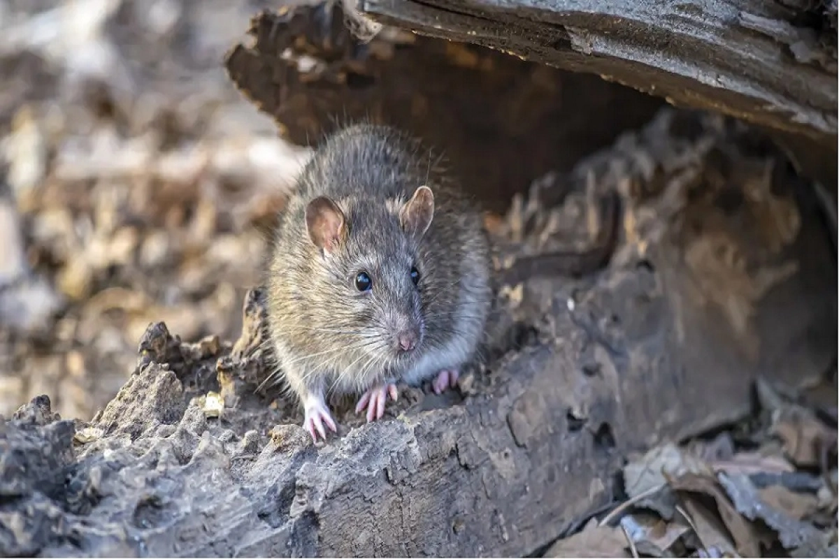 Фото:depositphotos