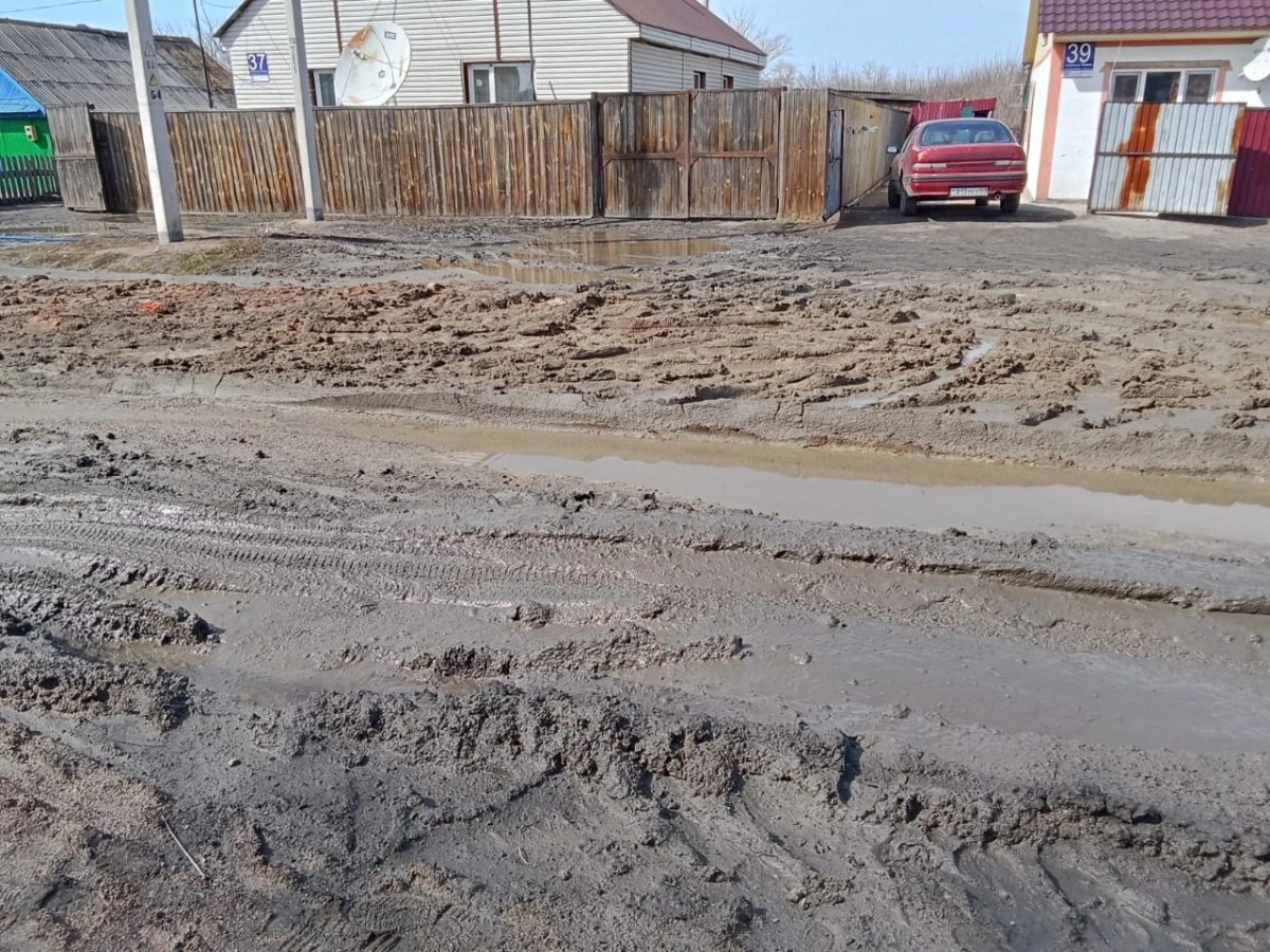 Фото предоставлено героями публикации