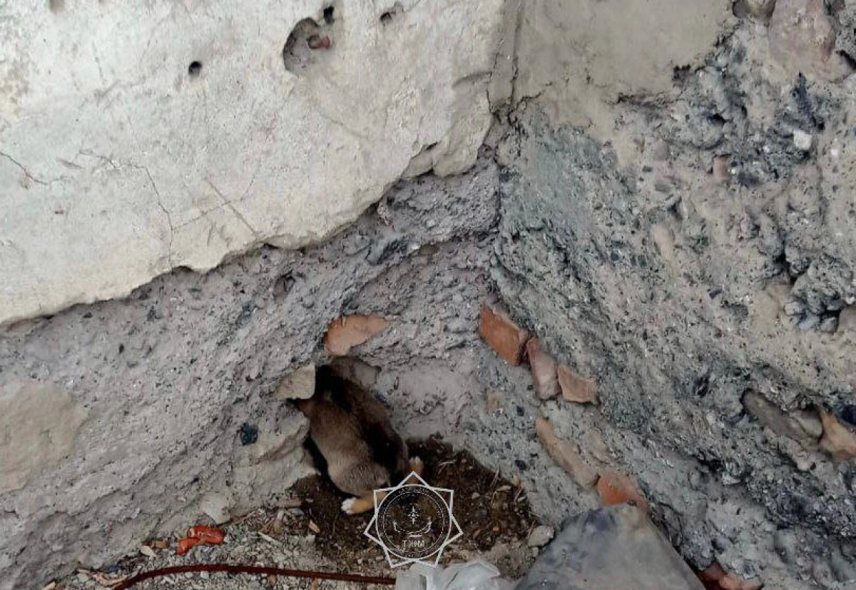 Фото: пресс-служба МЧС РК