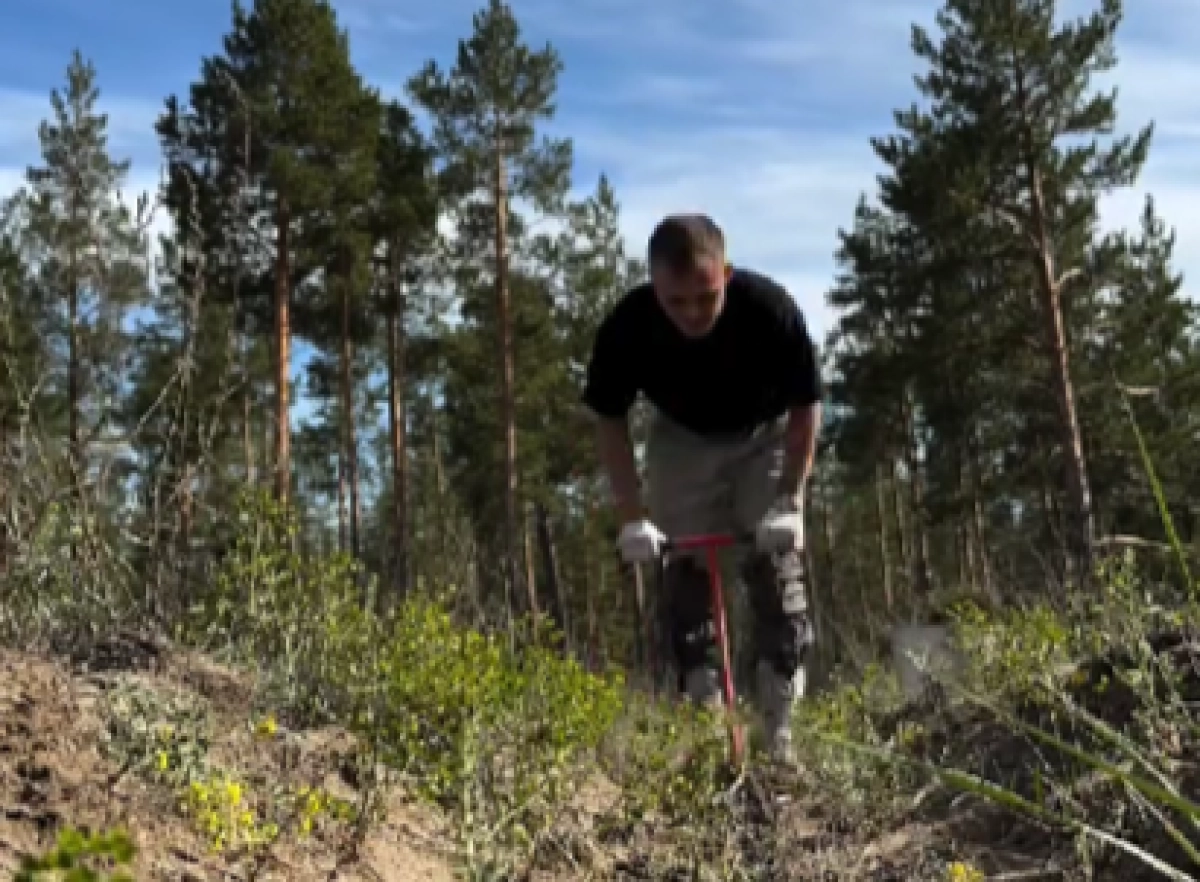 Фото: кадр из видео