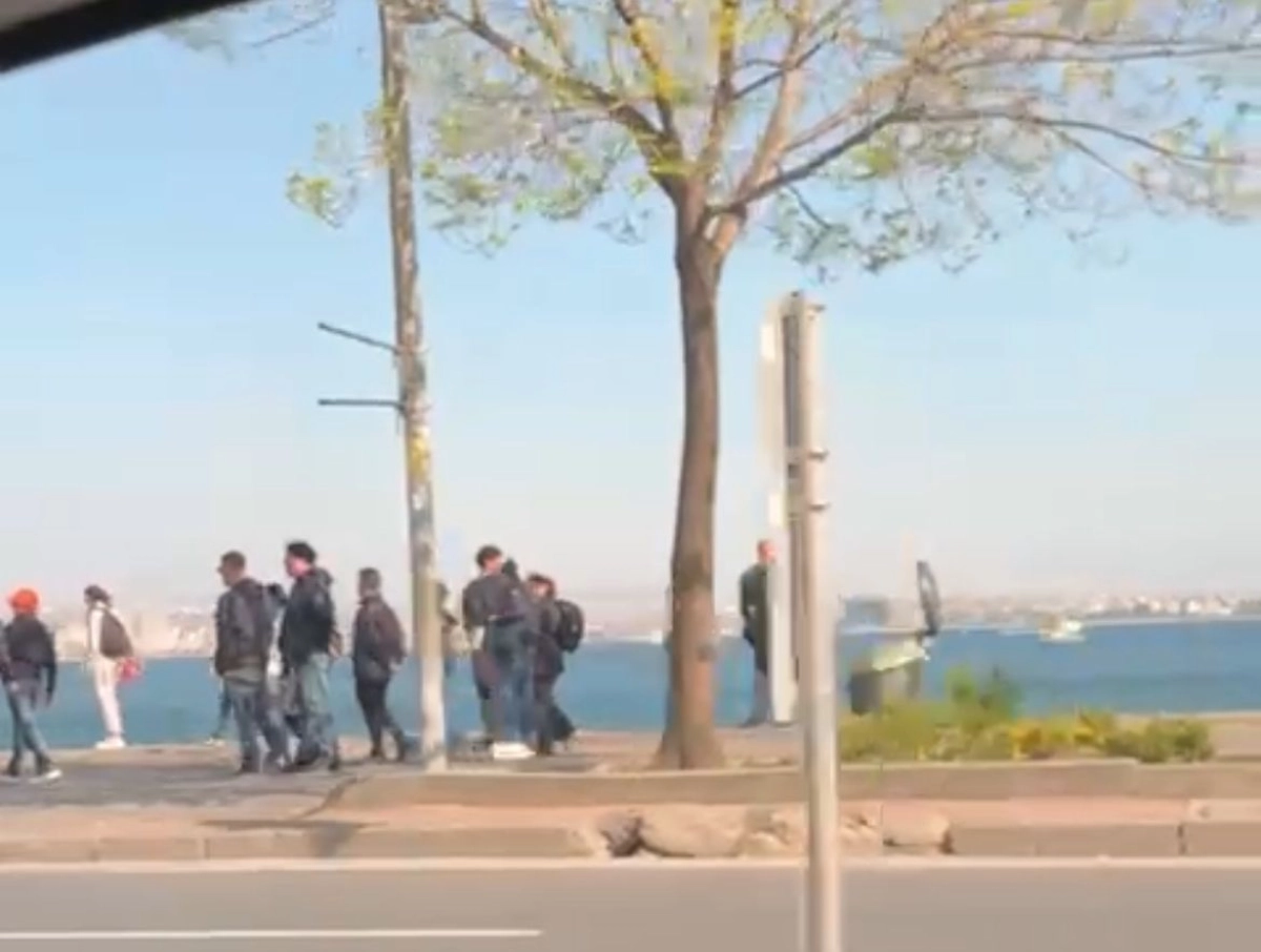 Фото: скриншот из видео