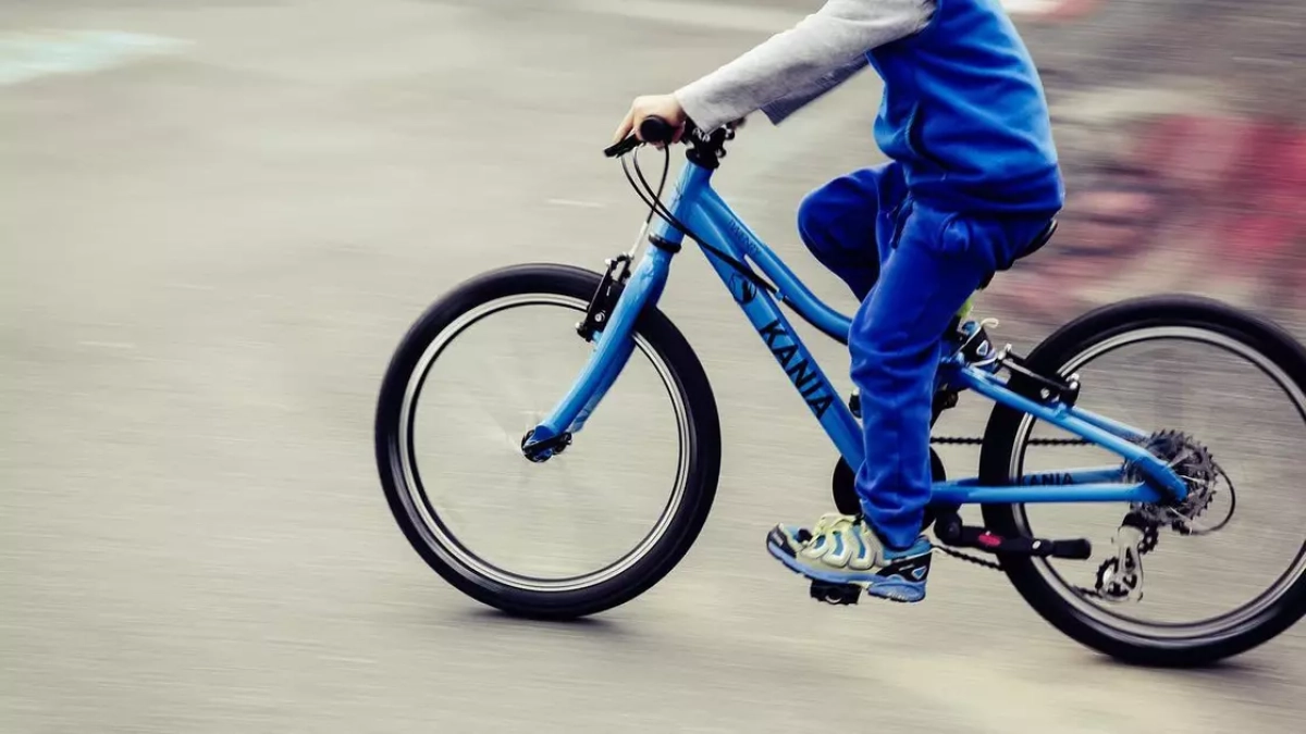 Фото:pixabay.com