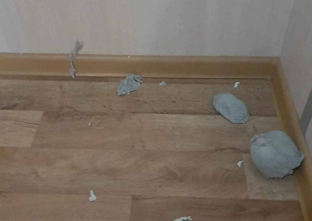 Фото: instagram/park.vkrg