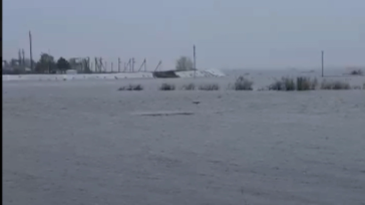 Фото: кадр из видео