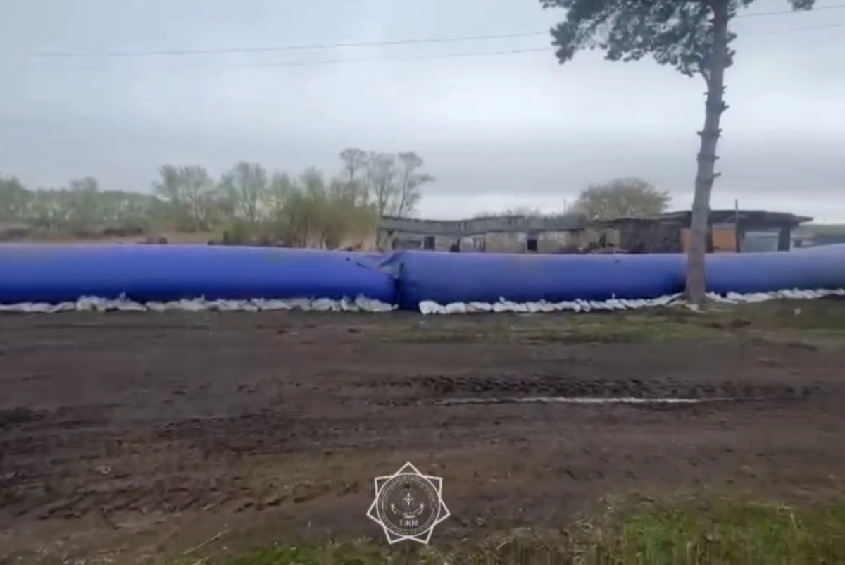 Кадр из видео