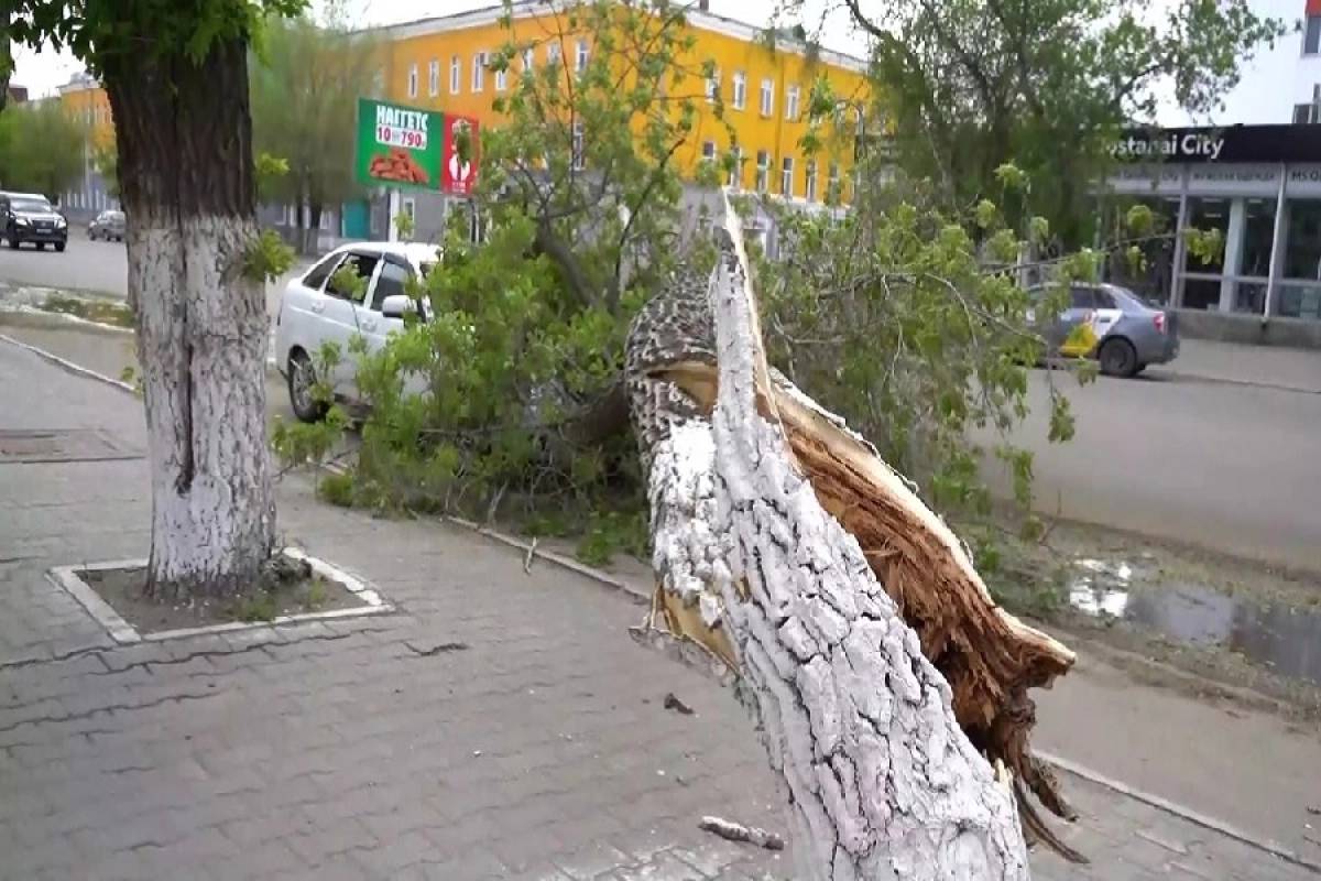 Фото: astanatv.kz