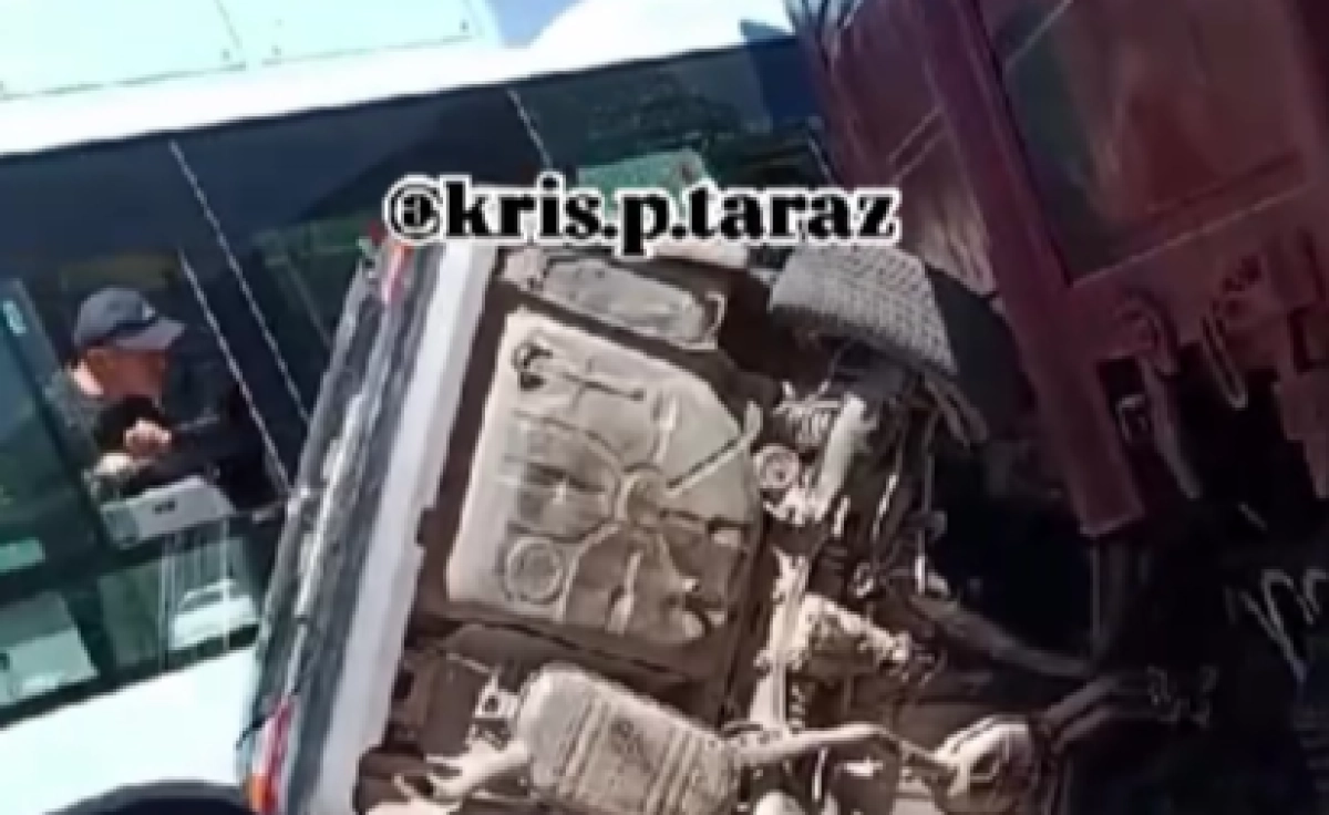 Фото: кадр из видео