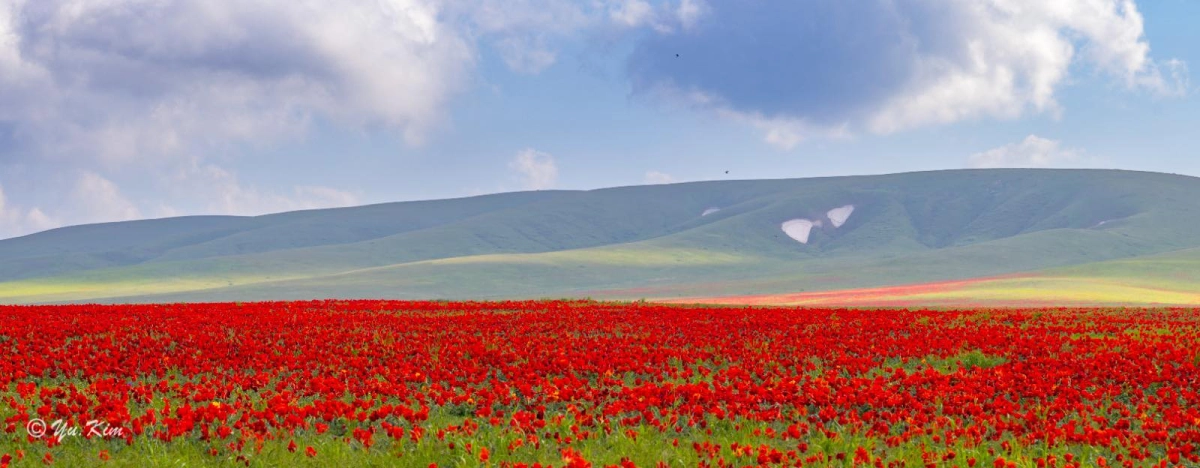 Фото: акимат Жамбылской области