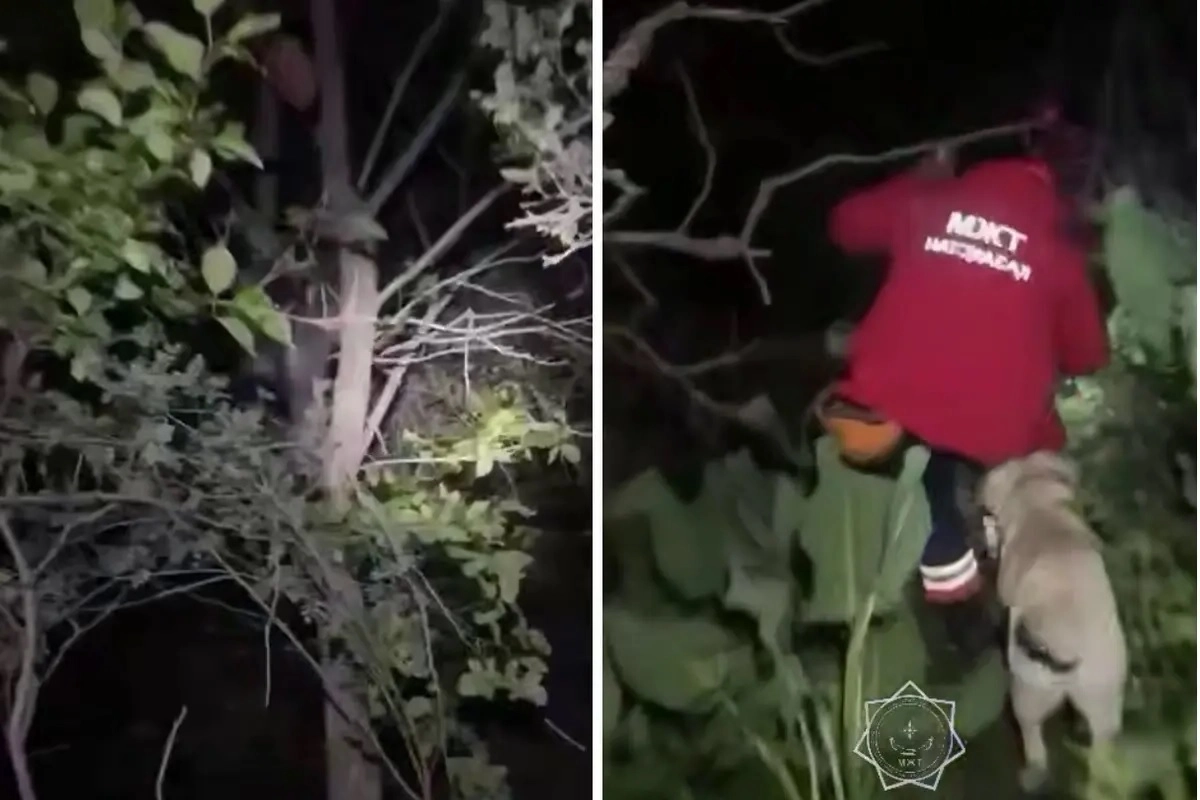 Фото: МЧС РК