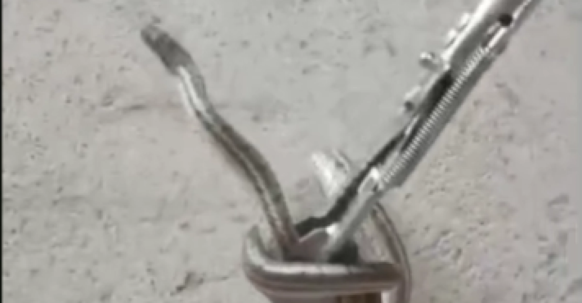 Фото: кадр из видео