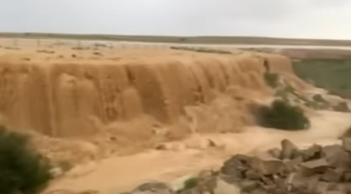 Фото: кадр из видео