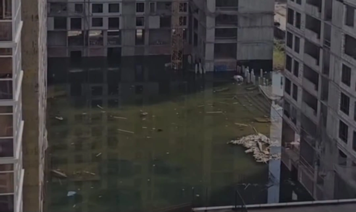 Фото: скриншот видео