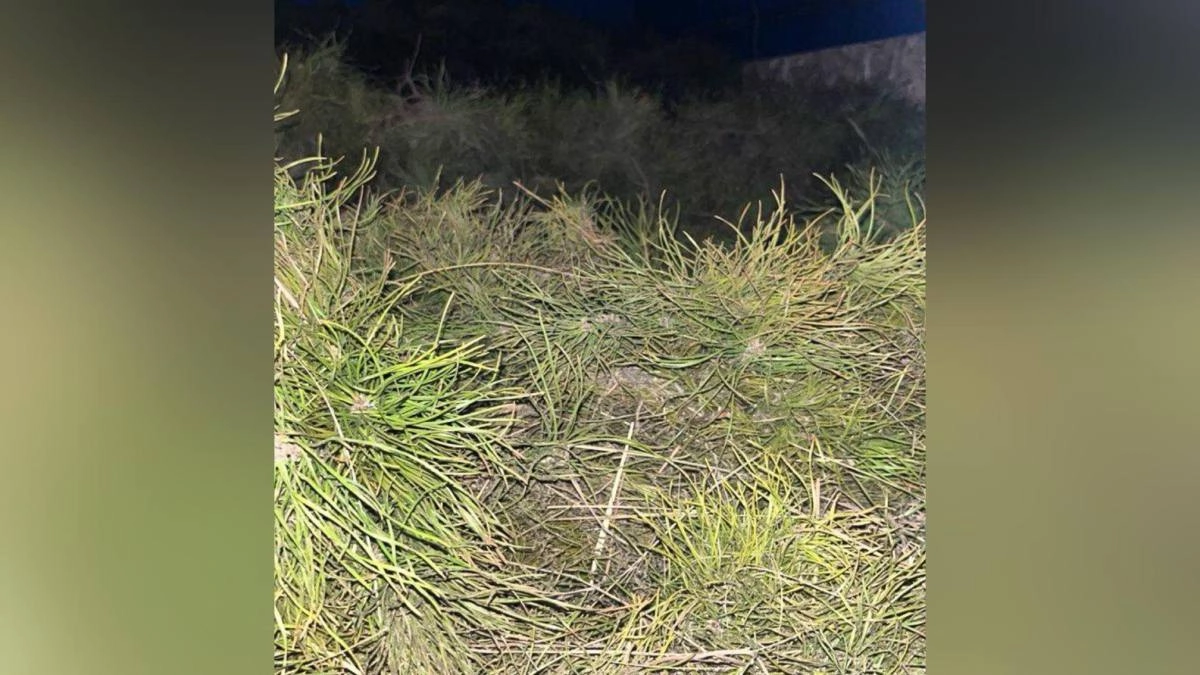 фото: polisia.kz